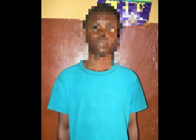 Police Arrest 20-Year-Old Over Alleged Sexual Assault in Ijebu-Igbo