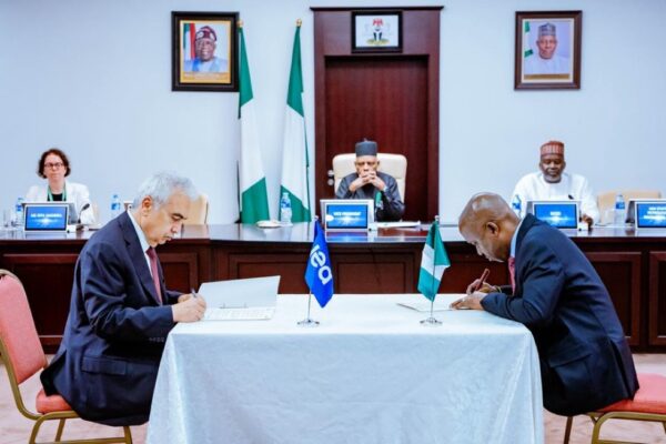 Nigeria Deepens Energy Cooperation With IEA Through New Joint Work Programme