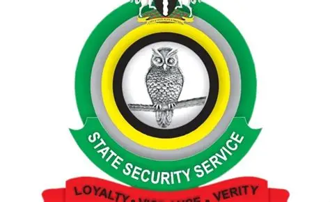 Bauchi Senator Faces Renewed Banditry Allegations as DSS Continues Probe