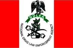 NDLEA Nabs Ex-Convict Linked to Cocaine Shipment Bound for Saudi Arabia