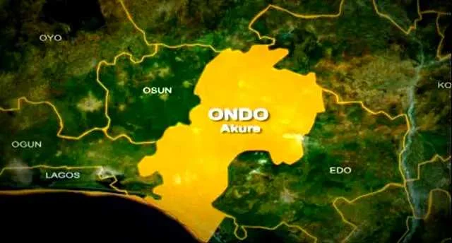 Police Launch Investigation After Three Siblings Die on Ondo Farm