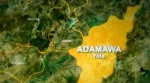 Adamawa Attack Leaves 12 Dead