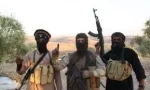 11 Feared Killed As Terrorists Attack Adamawa Community
