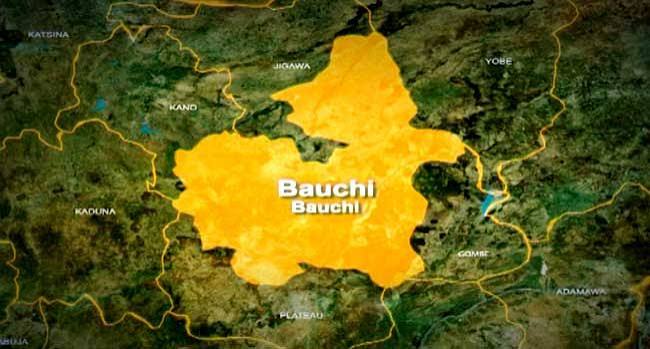 Police Arrest 20-year-old Over Alleged Defilement And Theft In Bauchi