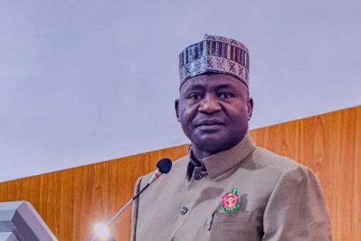 Defence Minister Leads Southern Kaduna Mobilisation for Tinubu, Uba Sani Ahead of 2027