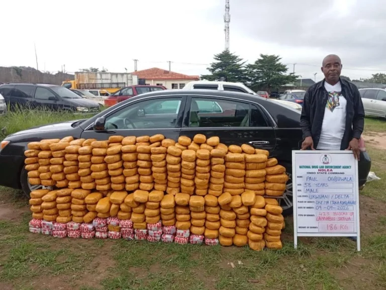 NDLEA Intercepts 44kg Colorado Shipment, Arrests Suspects Across Nigeria