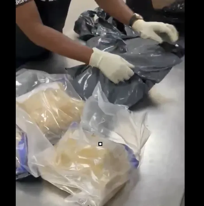 NDLEA Intercepts Drugs Hidden in Bread, Arrests Real Estate Agent