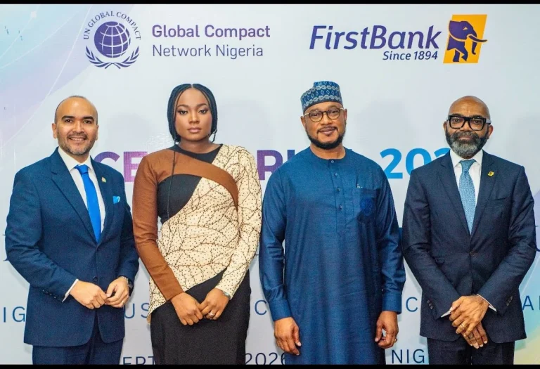 Experts Identify Lack of Bankable Projects as Nigeria’s Investment Hurdle