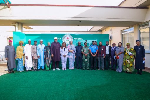 Federal Government Plans Modest Events for Nigeria’s 66th Independence Anniversary