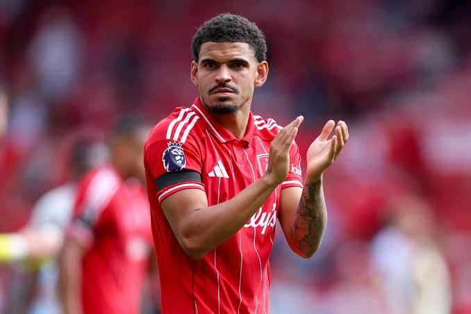 Gibbs-White Returns To England Squad After Palmer Injury