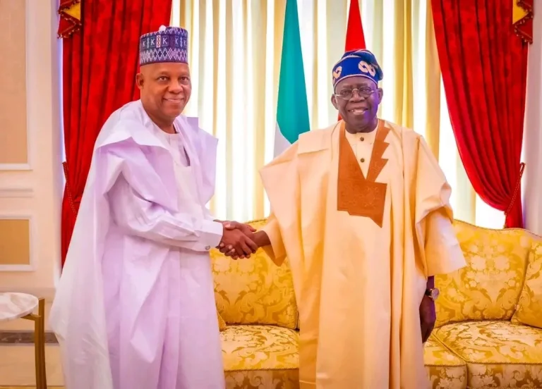 Why Shettima Is Representing Tinubu at UNGA — Minister