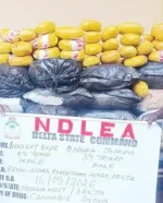 NDLEA Seizes N3.4bn Worth of Drugs in Nationwide Operations