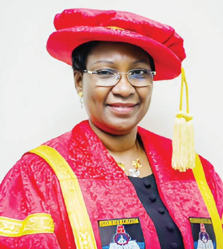 Public Varsities Need N1m School Fees For Financial Independence – Ex-lasu Vc
