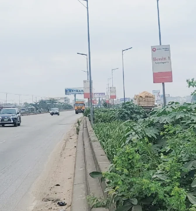 Vandalism Leaves Lagos-Ibadan Longbridge Largely Without Streetlights