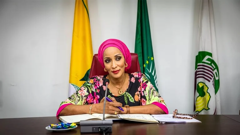 FG Woos Diaspora Nigerians for Investments, Knowledge Transfer