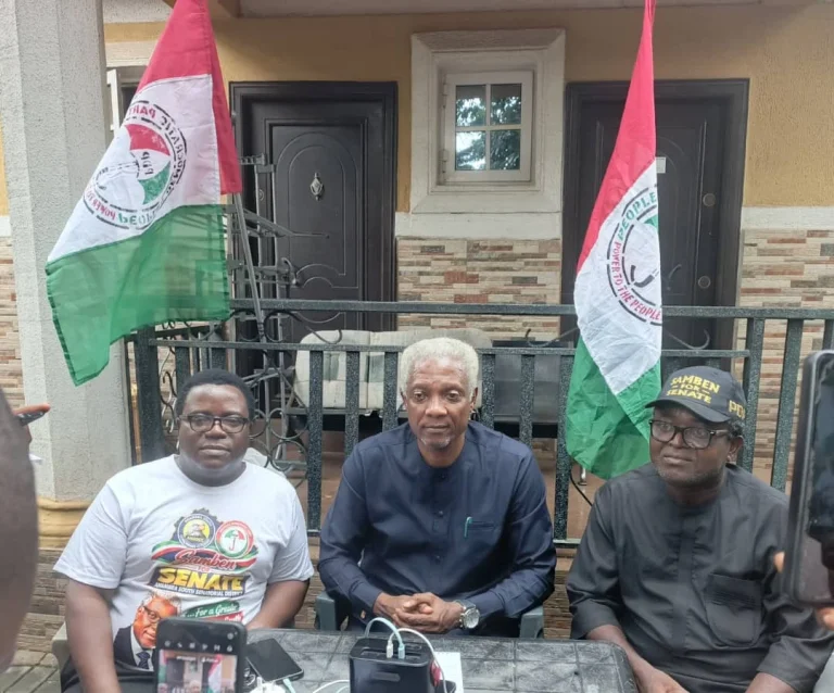 PDP Candidate Promises Jobs, Empowerment for Anambra South