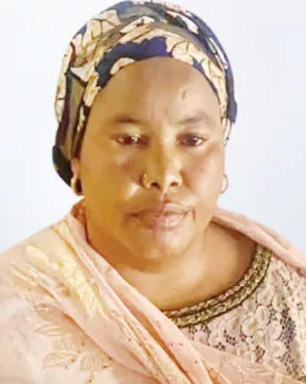 Borno High Court Sentences Woman to Two Years Imprisonment for Sexual Assault