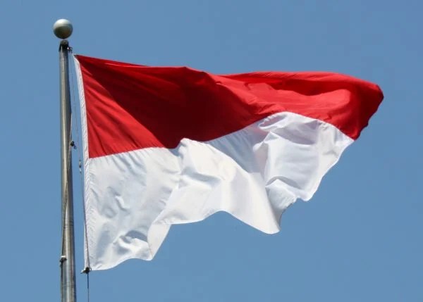 Four Dead as Wildfire Traps Response Team in Indonesian National Park
