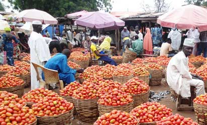 Nigeria’s 11m-tonne cold storage gap exposes food supply weakness