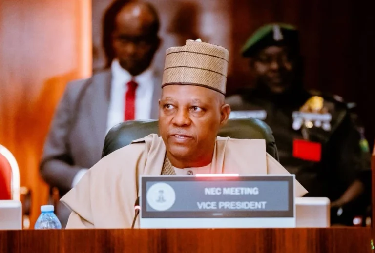 Vice President Kashim Shettima Urges State Governments to End Dependence on Federal Government and Establish Local Power Markets