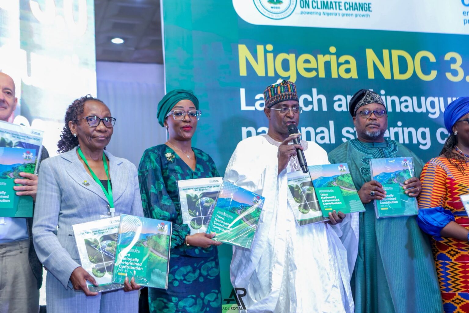 Nigeria’s climate policy, financing, implementation worries UNDP