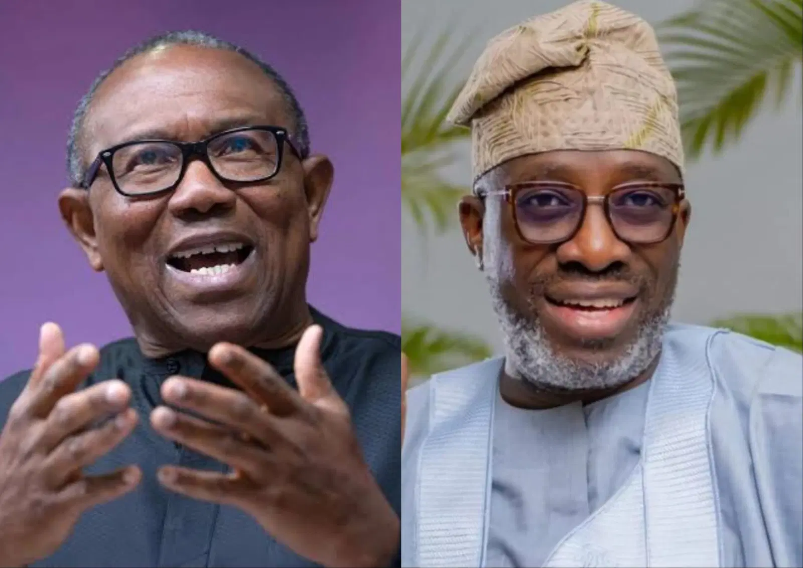 Peter Obi Has Made Obidients Everybody’s Enemy — Sowunmi