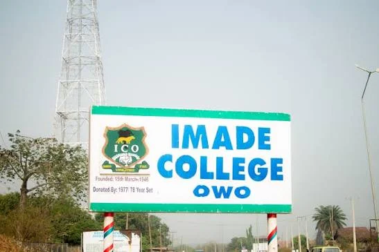 Old students lament teacher shortage in Ondo college Education