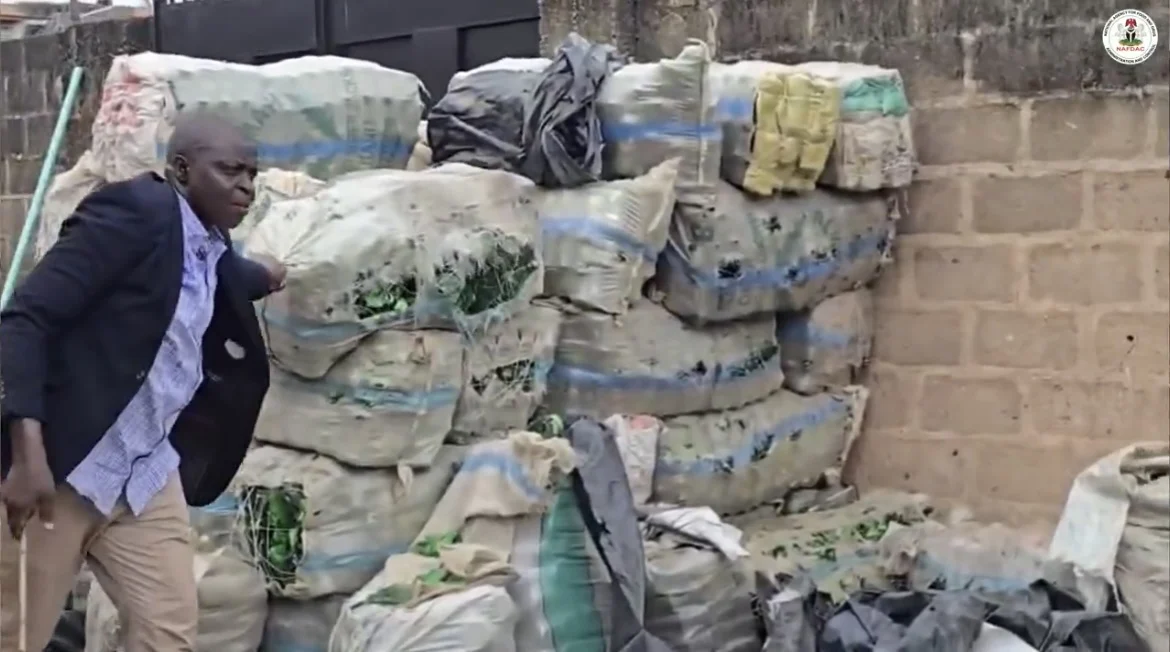 NAFDAC uncovers building storing bottles for fake alcohol in Lagos
