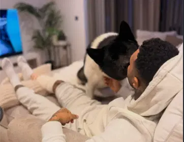 Ex-premier League Star Needs 50 Stitches After German Shepherd Attack