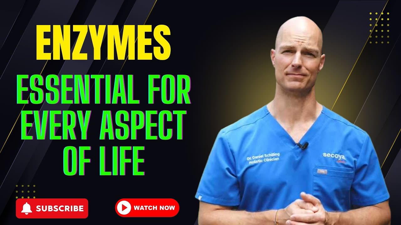 Enzymes are Vital for Every Aspect of Life!