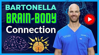 Bartonella Brain-Body Connection And ‍Managing Bartonella Symptoms