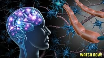 Candida Brain-Body Connection and Exploring the Link Between Candida and Mental Health