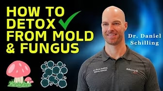 Effective Mold and Fungus Detox Methods || Protecting Your Health: Mold and Fungus Detox Methods