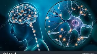 Gout Brain Body Connection and How does Gout affect the brain and body?