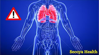 How Lung Issues Are Tied To Fear and Grief || (Castor Oil)