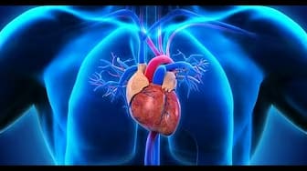 How to prevent coronary artery disease | And Prevent Coronary Artery Disease | Dr. Daniel Schilling