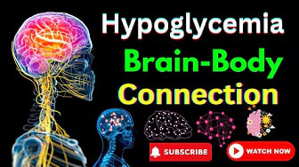 Hypoglycemia Brain Body Connection