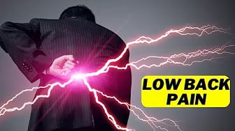 Low Back Pain Brain Body Connection