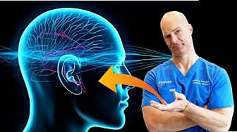 Tinnitus Brain Body Connection And Managing Tinnitus: Brain-Body Connection Tips