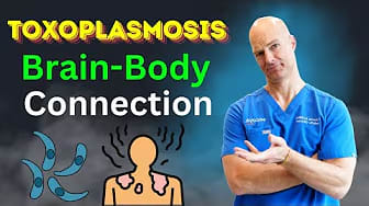 Toxoplasmosis Brain Body Connections. And how does Toxoplasmosis affect the brain and body?