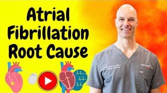 What Are the Main Causes of Atrial Fibrillation?