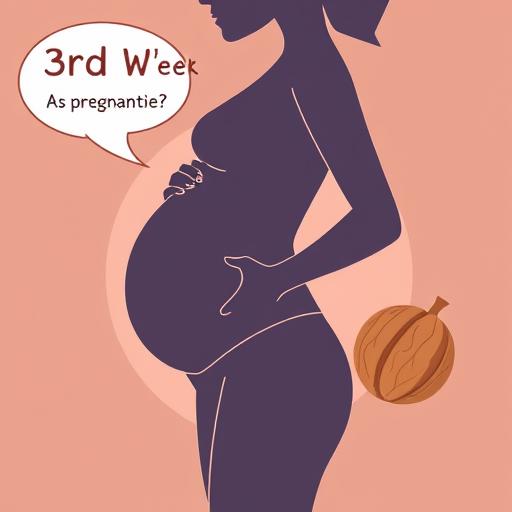 Как выглядит живот на 3 неделе беременности: что нужно знать