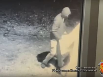 26-летний саровчанин получил 4,5 гола колонии условно за дискредитацию Вооруженных сил РФ