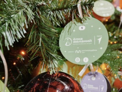 Всероссийская акция «Ёлка желаний» стартует в Москве
