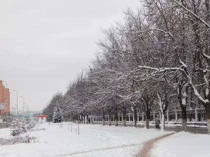 Сильные морозы ожидаются в регионе