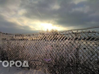 Грядет ледяная катастрофа: синоптики ответили, ждать ли морозов в Нижегородской области под конец февраля