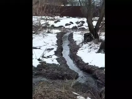Экологический беспредел под Нижним Новгородом дошел до Бастрыкина