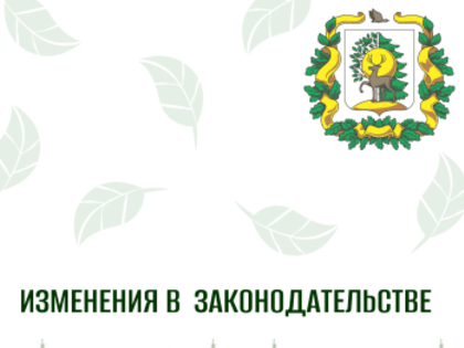 Ликвидация очагов распространения вредных организмов в лесах станет более точечной
