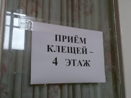Первый в 2024 году нижегородец обратился за медпомощью с присасыванием клеща