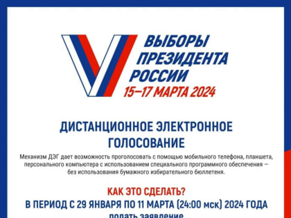 5 и 6 марта нижегородцы смогут принять участие в тестовом дистанционном электронном голосовании